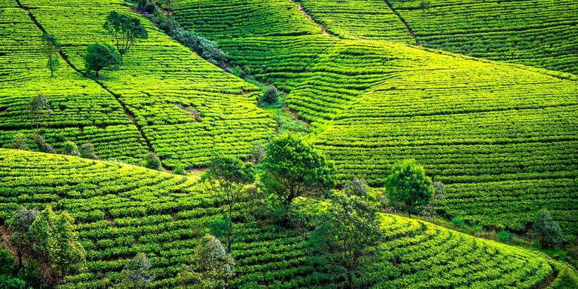 Kandy: Nuwara Eliya Day Trip - Ramboda Waterfall and the first big views