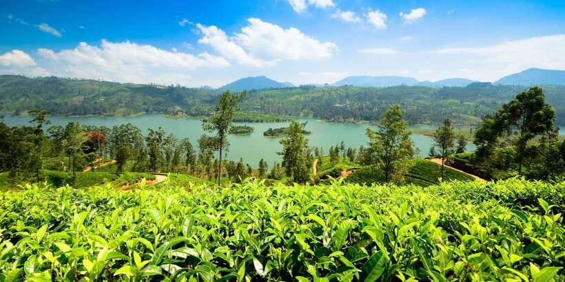 Kandy: Nuwara Eliya Day Trip - Nuwara Eliya Post Office and the Little England idea