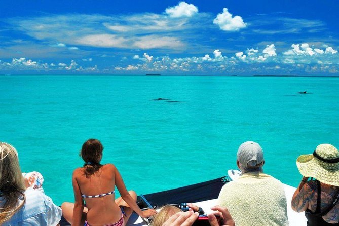 Key West Day Trip from Miami with Activities - Arriving at 908 Caroline Street in Key West