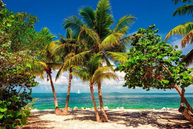 Key West Day Trip from Miami with Activities - The bus ride deserves serious attention