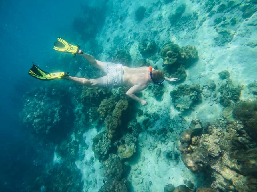 Khao Lak: Phi Phi & Bamboo Island Day Trip by Speedboat - Lunch at Phi Phi Holiday Resort