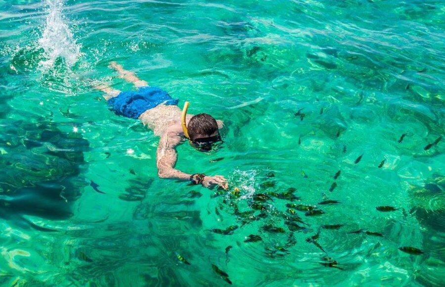 Khao Lak: Phi Phi Island, Maya Beach and Snorkeling Day Trip - Four snorkeling stops and what to expect