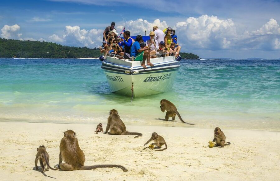 Khao Lak: Phi Phi Island, Maya Beach and Snorkeling Day Trip - What the $110 price really covers