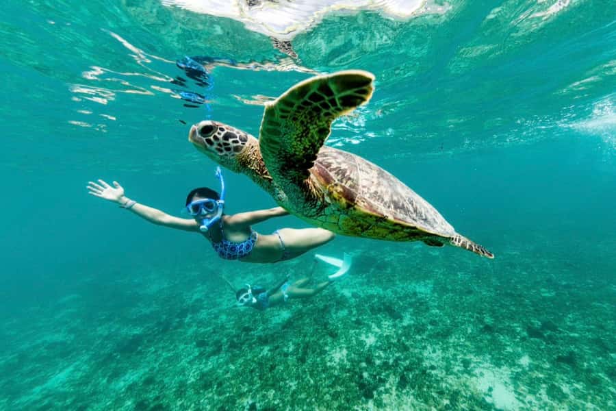 Khao Lak: Similan Islands Snorkeling Day Trip w/Meals - Returning to the mainland for dinner and a shower