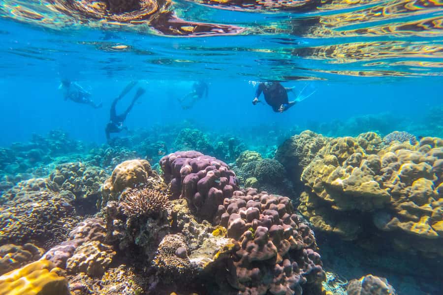 Khao Lak: Similan Islands Snorkeling Day Trip w/Meals - Collar Bay near Koh Bangu for the first swim
