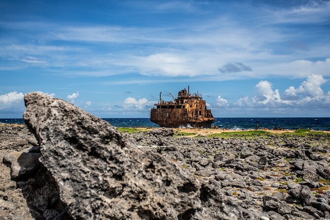 Klein Curacao Day Trip with Premium Open Bar and BBQ-Lunch - A BBQ lunch with a full drink package