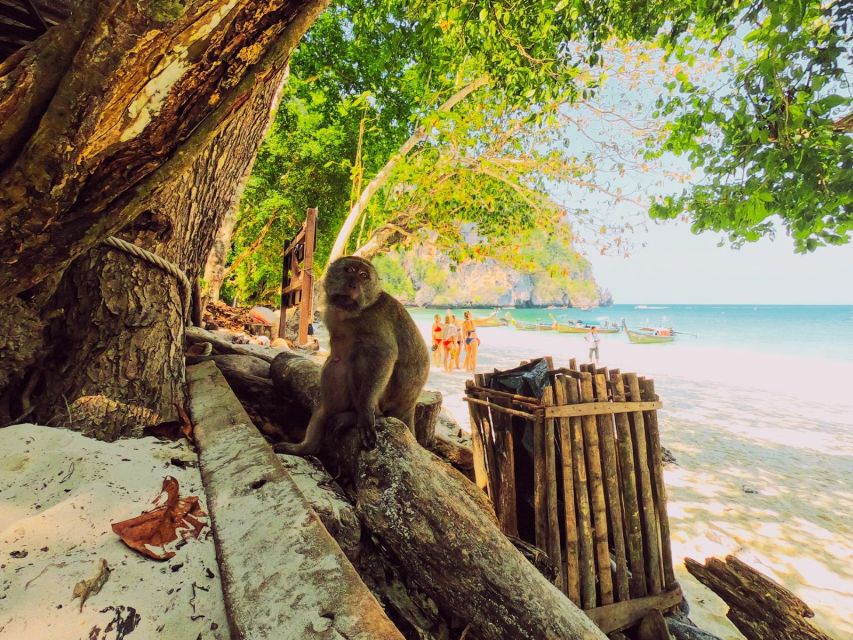 Ko Lanta: Phi Phi Day Trip by Speed Boat - Leaving Ko Lanta on a fast, busy schedule