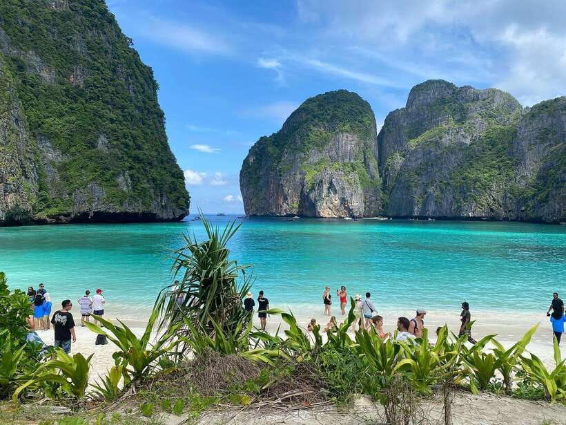 Ko Phi Phi Don: Speedboat Day Trip with Shark Snorkeling - Maya Bay is the headline stop
