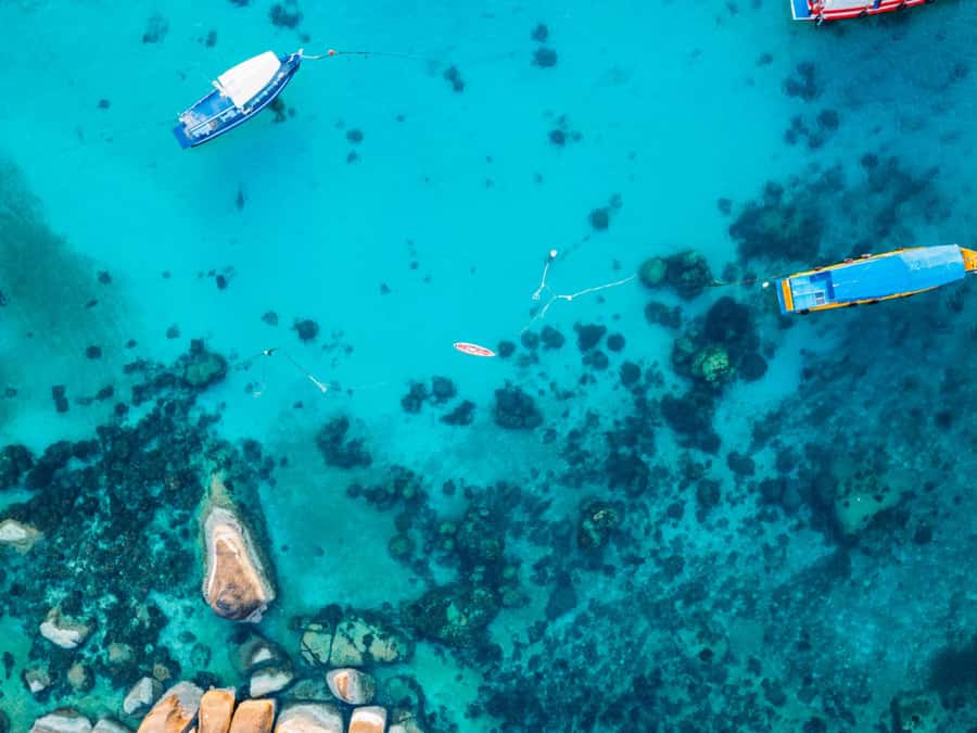 Ko Samui: Unique Ko Tao & Ko Nang Yuan Snorkeling Day Trip - Returning to Koh Samui by mid-afternoon
