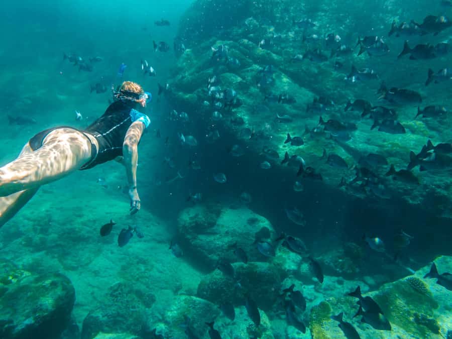 Ko Samui: Unique Ko Tao & Ko Nang Yuan Snorkeling Day Trip - The 90-minute speedboat crossing