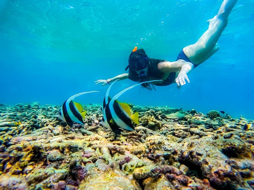 Ko Tao: Tao-Nangyuan Snorkeling Day Trip with Meals & Sunset - Food, photos, and what the $62 covers