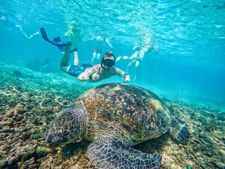 Ko Tao: Tao-Nangyuan Snorkeling Day Trip with Meals & Sunset - Hin Wong and the chance of sardines