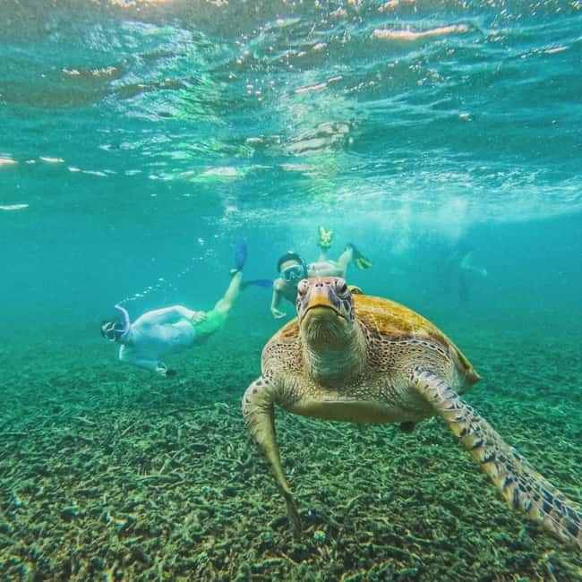 Ko Tao: Tao-Nangyuan Snorkeling Day Trip with Meals & Sunset - Aow Leuk has easy shallow-water viewing