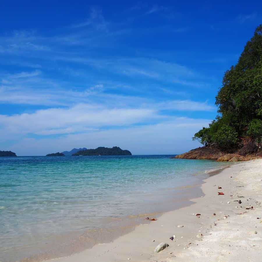 Koh Chang: Full-Day Private Day Trip - Salak Kok Village and its quiet mangroves