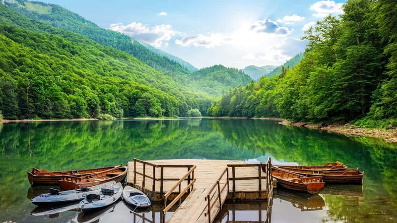 Kotor: Lake Skadar and Biograd Day Trip & Boat Ride - Biogradska Gora and Lake Biograd