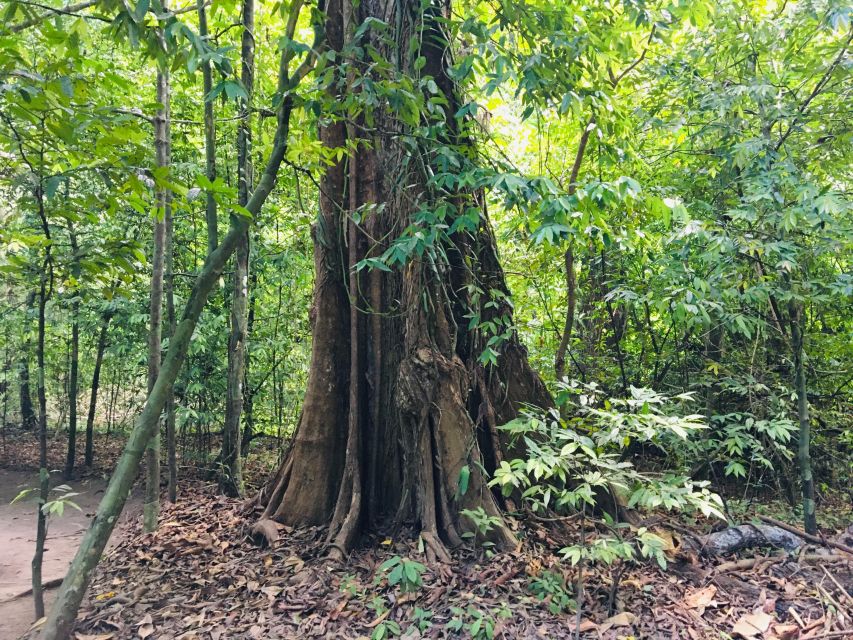 Krabi: Emerald Pool and Hot Springs Waterfall Half-Day Trip - Practical packing and preparation
