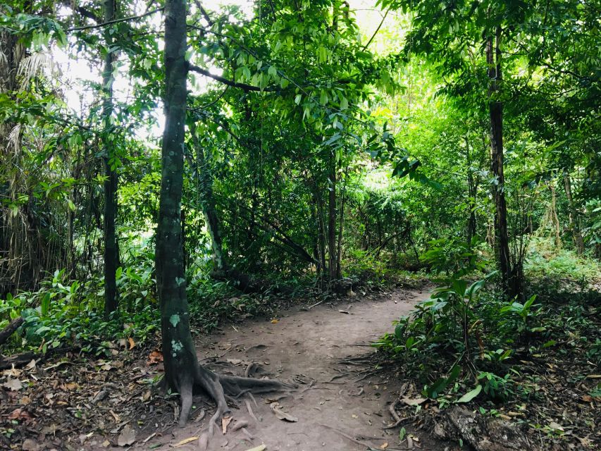 Krabi: Emerald Pool and Hot Springs Waterfall Half-Day Trip - What this Krabi rainforest trip is really like