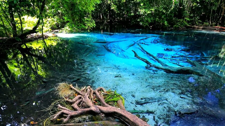 Krabi: Emerald Pool and Hot Springs Waterfall Half-Day Trip - Why the Emerald Pool has its green color