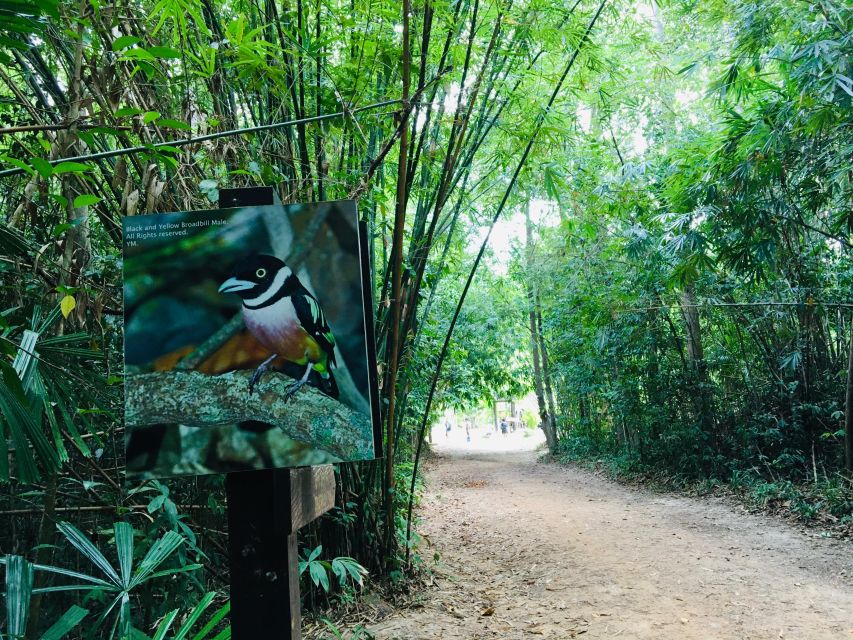 Krabi: Emerald Pool and Hot Springs Waterfall Half-Day Trip - What the $43 price includes, and what it does not