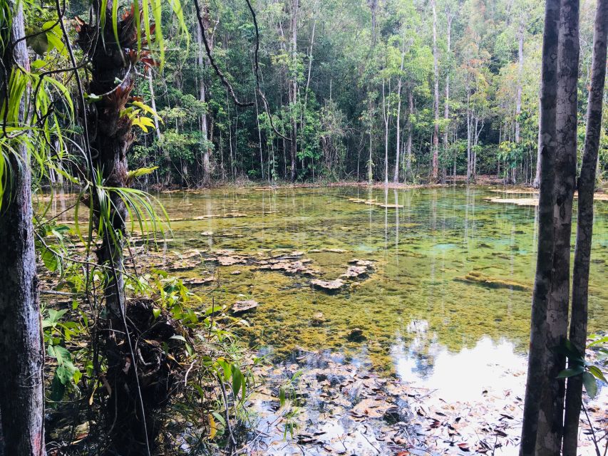 Krabi: Emerald Pool and Hot Springs Waterfall Half-Day Trip - Who should book this experience