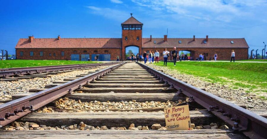 Krakow: Auschwitz-Birkenau and Wieliczka Salt Mine Day Trip - What the $131 price includes