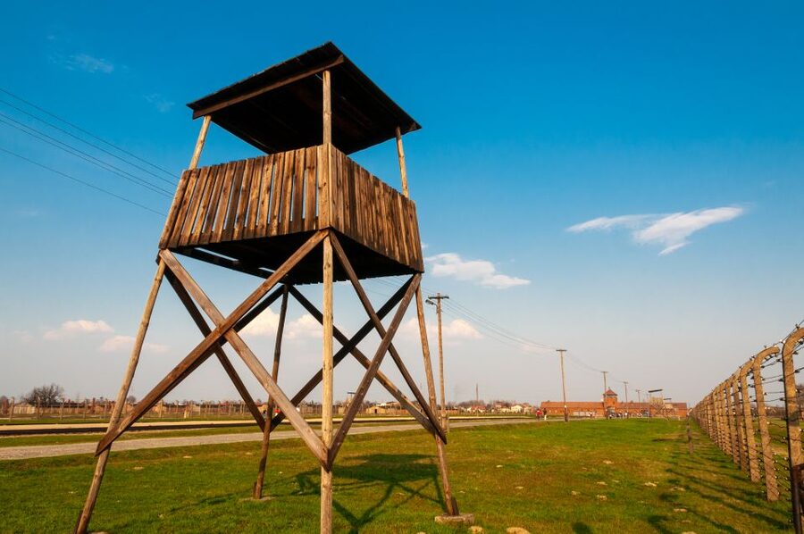 Krakow: Auschwitz-Birkenau and Wieliczka Salt Mine Day Trip - Who should book this day trip