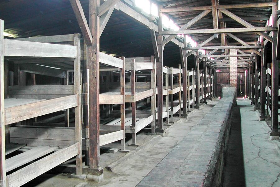 Krakow: Auschwitz-Birkenau Day Trip with Tour Leader - Key points to know before booking