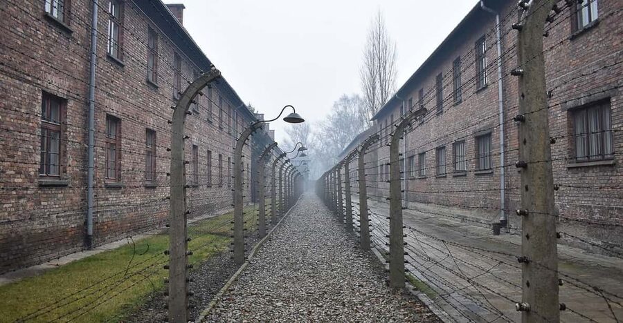 Krakow: Auschwitz-Birkenau Day Trip with Tour Leader - Birkenau: railway tracks, barracks, and ruins