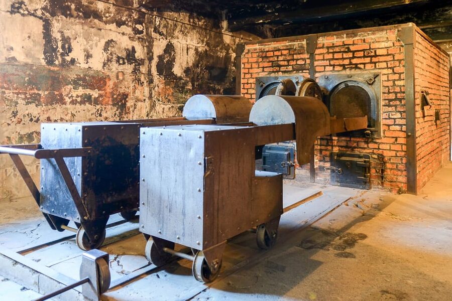 Krakow: Auschwitz-Birkenau Day Trip with Tour Leader - Timing, queues, and the real length of the day