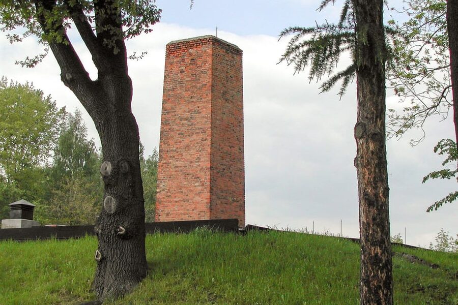 Krakow: Auschwitz-Birkenau Day Trip with Tour Leader - The $37 price and what you receive