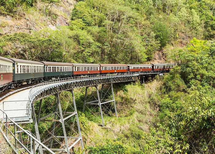 Kuranda Scenic Railway Day Trip from Cairns - Choosing the wildlife add-ons