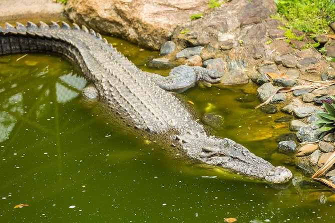 Kuranda Scenic Railway Day Trip from Cairns - What the $150.71 price really covers
