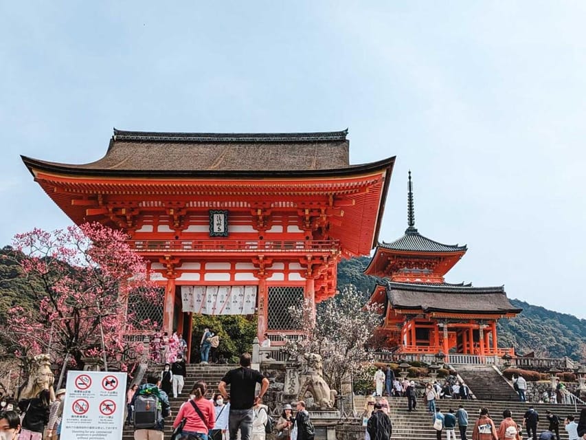 Kyoto/Osaka: Kyoto and Nara Sites & History Day Trip - Nara Park and Todai-ji: deer with an attitude