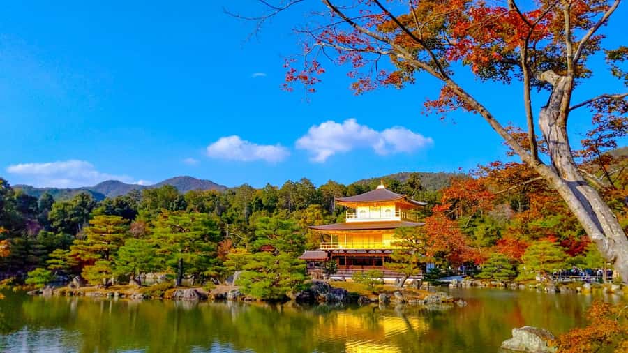Kyoto: Private Customizable Day Trip by Car - Kiyomizu-dera brings the biggest walking block