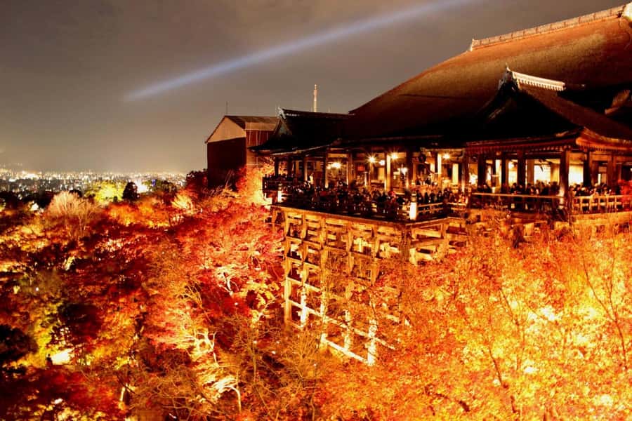 Kyoto: Private Customizable Day Trip by Car - The driver adds value, but this is not a guided tour