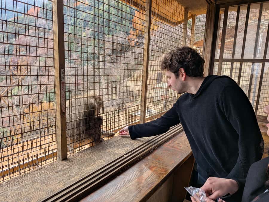 Kyoto: Private Customizable Day Trip by Car - Why private transport matters in Kyoto