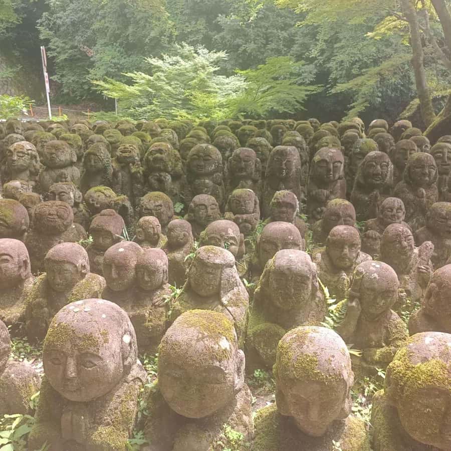 Kyoto: Private Customizable Day Trip by Car - The $581 group price makes more sense with six people