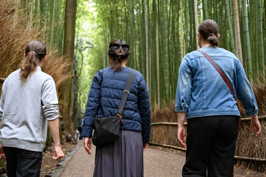 Kyoto to Arashiyama Day Trip - Private & Personalized - Reaching Arashiyama from Kyoto