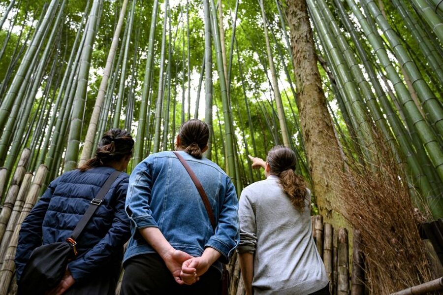 Kyoto to Arashiyama Day Trip - Private & Personalized - Choosing among the quieter temples
