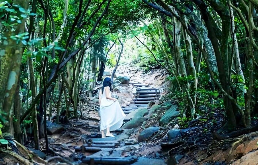 Kyushu Tour From Fukuoka: Itoshima Nature & Coastal Scenery - Keya no Oto Park and the coast near Futamigaura