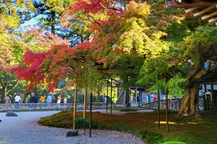 Kyushu Tour From Fukuoka: Itoshima Nature & Coastal Scenery - Totoro Forest and the shaded uphill path