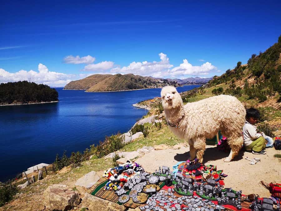 La Paz: Full Day Trip to Copacabana and Isla del Sol - Pickup in La Paz and the long road to Tiquina