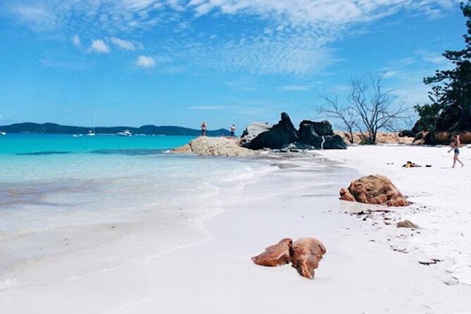 Lady Enid Sailing and Snorkeling Day Trip including Whitehaven Beach - What the $204.41 price gets you