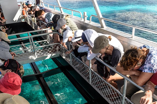 Lady Musgrave Day Trip from Bundaberg Including Snorkeling - A full day on the southern Great Barrier Reef