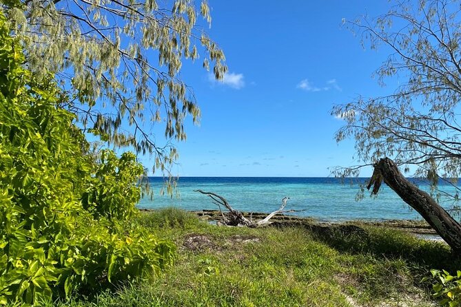 Lady Musgrave Day Trip from Bundaberg Including Snorkeling - Seeing the reef from the glass-bottom boat