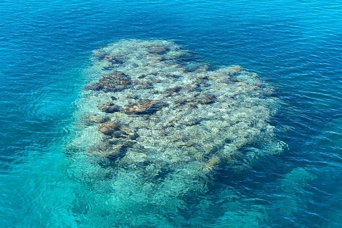 Lady Musgrave Day Trip from Bundaberg Including Snorkeling - Food, showers, and what is actually included