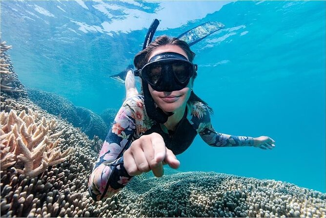 Lady Musgrave Day Trip from Bundaberg Including Snorkeling - Is $240.64 good value?