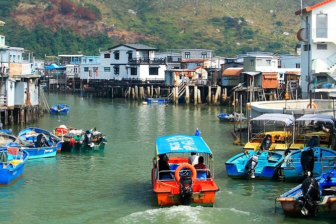 Lantau Island Day Trip - Big Buddha & Tai O - What the guide adds to a busy day