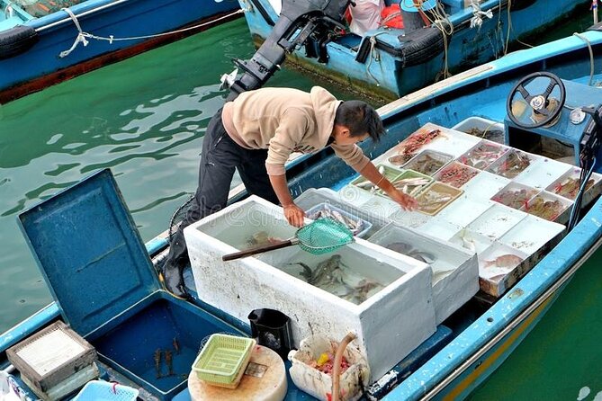 Lantau Island Day Trip - Big Buddha & Tai O - The transport schedule and the hidden cost of convenience