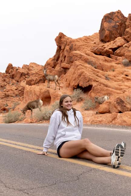 Las Vegas: Valley of Fire and Red Rock Canyon Day Trip - Key points at a glance